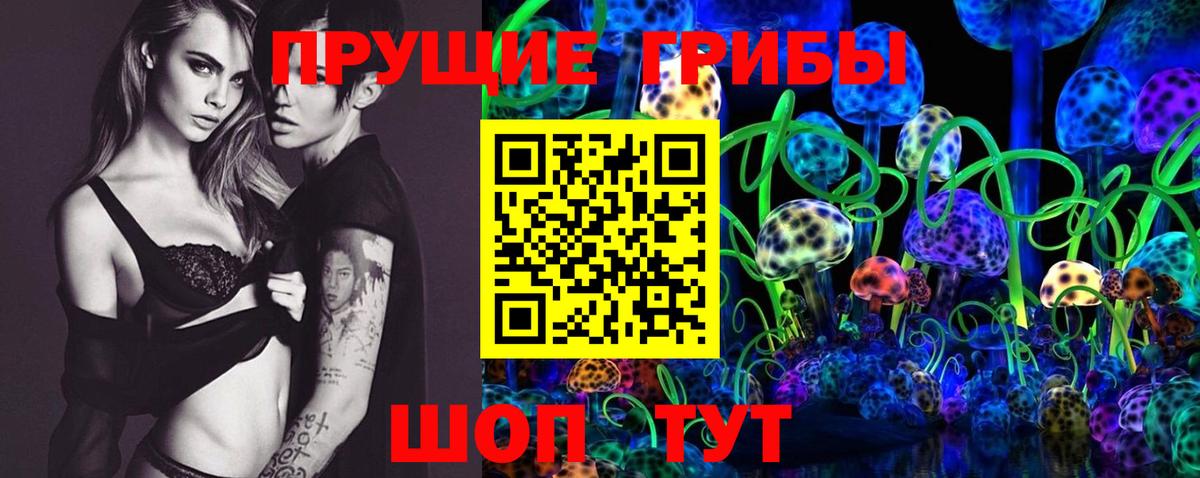Лесосибирск  Галлюциногенные грибы прущие грибы  Вход с VPN 